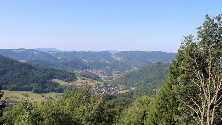 Dieses Bild zeigt eine Webcam-Aufnahme vom Achertal, aufgenommen am Mittwoch, den 29.07.2026 um 10:10 Uhr. Die Temperatur betrug 29.1°C.