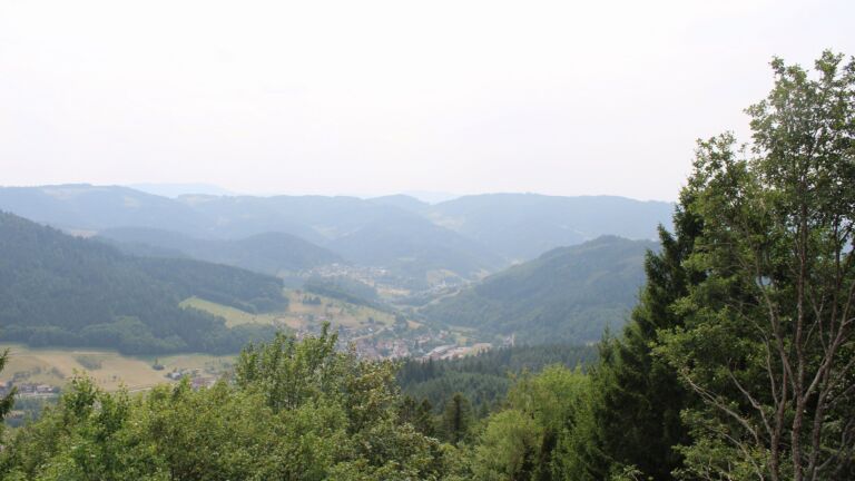 Dieses Bild zeigt eine Webcam-Aufnahme vom Achertal, aufgenommen am Freitag, den 31.07.2026 um 14:50 Uhr. Die Temperatur betrug 33.1°C.