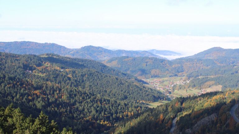 Dieses Bild zeigt eine Webcam-Aufnahme vom Achertal, aufgenommen am Donnerstag, den 16.10.2025 um 11:00 Uhr. Die Temperatur betrug 8.1°C.