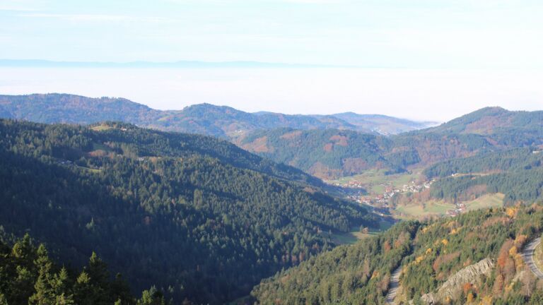 Dieses Bild zeigt eine Webcam-Aufnahme vom Achertal, aufgenommen am Donnerstag, den 06.11.2025 um 10:00 Uhr. Die Temperatur betrug 11°C.