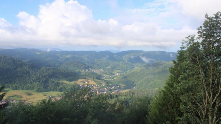 Dieses Bild zeigt eine Webcam-Aufnahme vom Achertal, aufgenommen am Montag, den 01.06.2026 um 07:50 Uhr. Die Temperatur betrug 12.6°C.