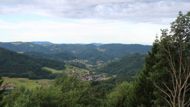 Dieses Bild zeigt eine Webcam-Aufnahme vom Achertal, aufgenommen am Freitag, den 17.07.2026 um 08:00 Uhr. Die Temperatur betrug 19°C.
