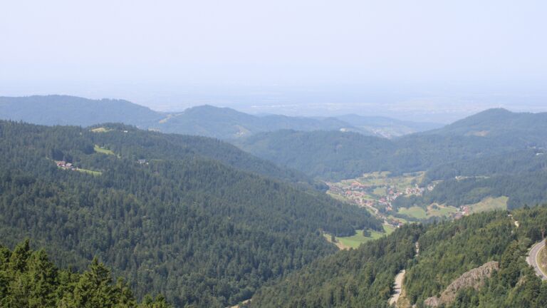 Dieses Bild zeigt eine Webcam-Aufnahme vom Achertal, aufgenommen am Mittwoch, den 13.08.2025 um 12:30 Uhr. Die Temperatur betrug 27.4°C.