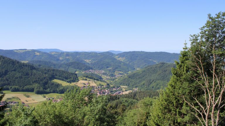 Dieses Bild zeigt eine Webcam-Aufnahme vom Achertal, aufgenommen am Freitag, den 29.05.2026 um 10:30 Uhr. Die Temperatur betrug 22.9°C.