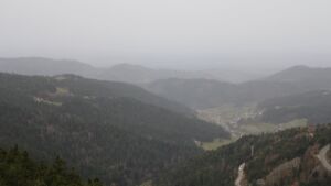 Dieses Bild zeigt eine Webcam-Aufnahme vom Achertal, aufgenommen am Freitag, den 14.11.2025 um 08:00 Uhr. Die Temperatur betrug 17.3°C.