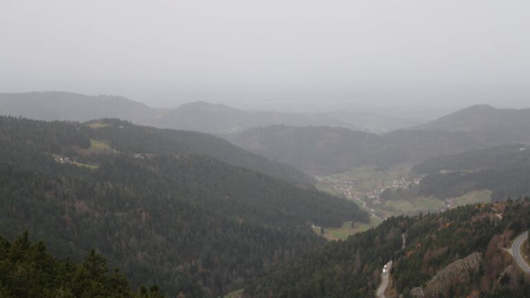 Dieses Bild zeigt eine Webcam-Aufnahme vom Achertal, aufgenommen am Freitag, den 14.11.2025 um 08:00 Uhr. Die Temperatur betrug 17.3°C.