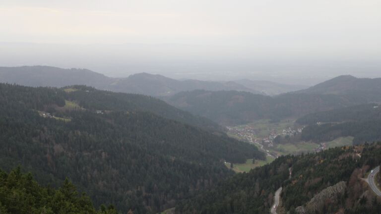 Dieses Bild zeigt eine Webcam-Aufnahme vom Achertal, aufgenommen am Freitag, den 14.11.2025 um 15:30 Uhr. Die Temperatur betrug 16°C.