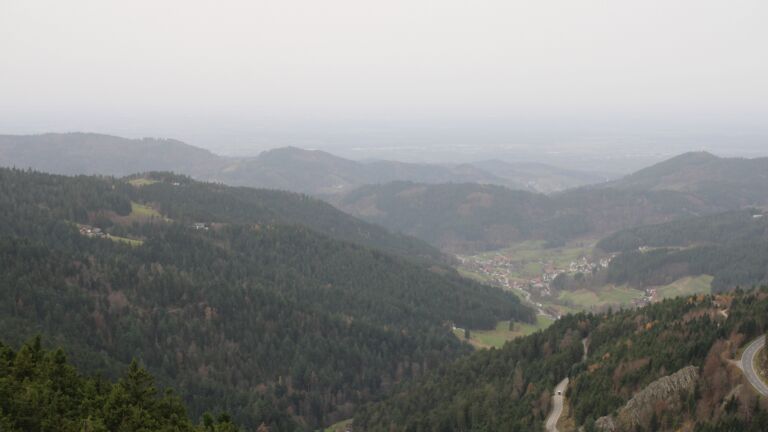 Dieses Bild zeigt eine Webcam-Aufnahme vom Achertal, aufgenommen am Freitag, den 14.11.2025 um 10:30 Uhr. Die Temperatur betrug 16.1°C.