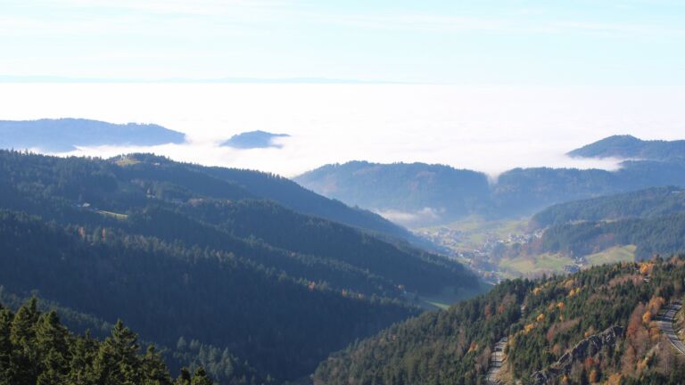 Dieses Bild zeigt eine Webcam-Aufnahme vom Achertal, aufgenommen am Freitag, den 07.11.2025 um 14:10 Uhr. Die Temperatur betrug 11.8°C.