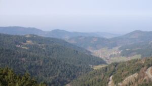 Dieses Bild zeigt eine Webcam-Aufnahme vom Achertal, aufgenommen am Samstag, den 07.03.2026 um 10:10 Uhr. Die Temperatur betrug 11.1°C.