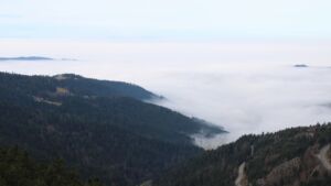 Dieses Bild zeigt eine Webcam-Aufnahme vom Achertal, aufgenommen am Montag, den 22.12.2025 um 11:30 Uhr. Die Temperatur betrug 10.6°C.