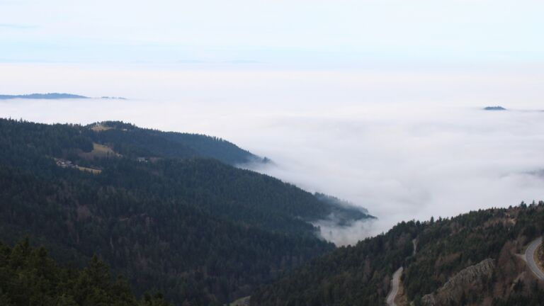 Dieses Bild zeigt eine Webcam-Aufnahme vom Achertal, aufgenommen am Montag, den 22.12.2025 um 11:30 Uhr. Die Temperatur betrug 10.6°C.