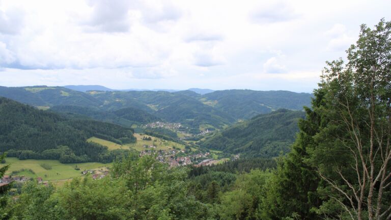 Dieses Bild zeigt eine Webcam-Aufnahme vom Achertal, aufgenommen am Mittwoch, den 10.06.2026 um 11:50 Uhr. Die Temperatur betrug 15.1°C.