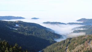 Dieses Bild zeigt eine Webcam-Aufnahme vom Achertal, aufgenommen am Dienstag, den 20.01.2026 um 11:30 Uhr. Die Temperatur betrug 9.6°C.