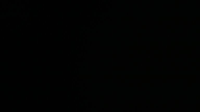 Dieses Bild zeigt eine Webcam-Aufnahme vom Achertal, aufgenommen am Donnerstag, den 20.11.2025 um 06:30 Uhr. Die Temperatur betrug -3.4°C.