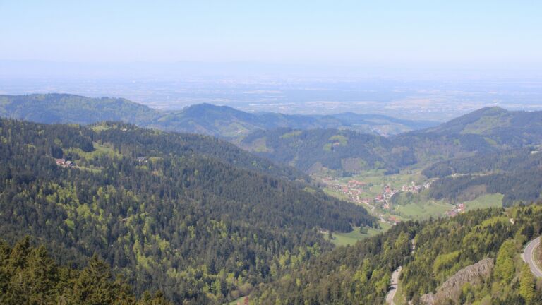 Dieses Bild zeigt eine Webcam-Aufnahme vom Achertal, aufgenommen am Sonntag, den 26.04.2026 um 11:50 Uhr. Die Temperatur betrug 13.7°C.