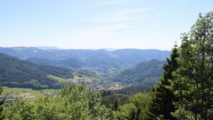 Dieses Bild zeigt eine Webcam-Aufnahme vom Achertal, aufgenommen am Samstag, den 23.05.2026 um 15:30 Uhr. Die Temperatur betrug 31.6°C.
