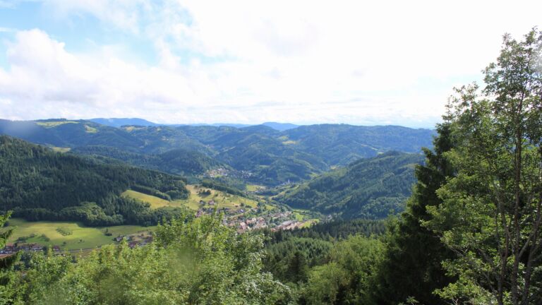 Dieses Bild zeigt eine Webcam-Aufnahme vom Achertal, aufgenommen am Mittwoch, den 10.06.2026 um 17:10 Uhr. Die Temperatur betrug 12°C.