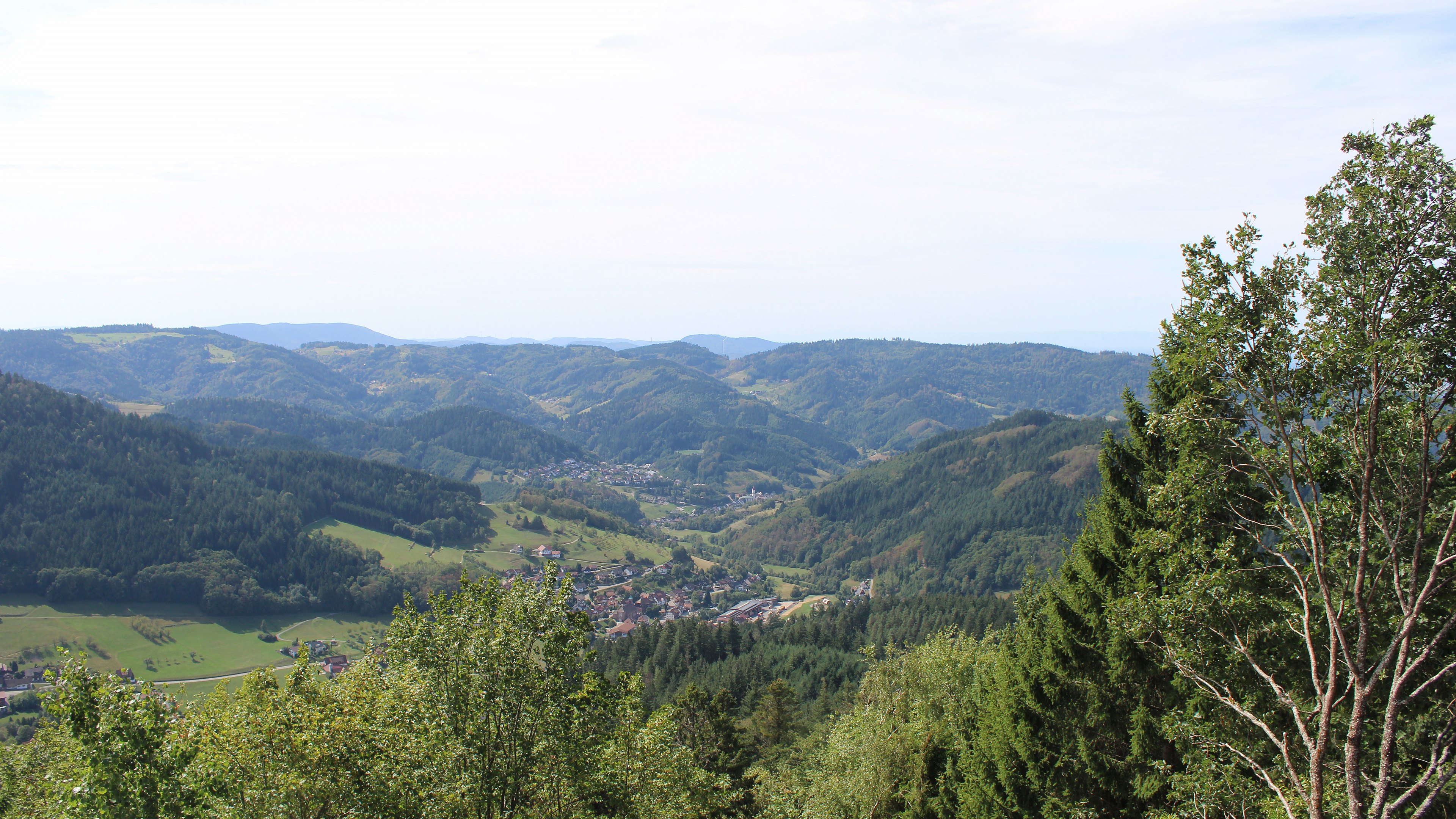 Zum Fotoarchiv vom Montag, 7. September 2026
