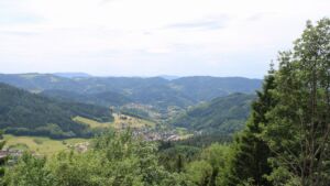 Dieses Bild zeigt eine Webcam-Aufnahme vom Achertal, aufgenommen am Montag, den 08.06.2026 um 14:50 Uhr. Die Temperatur betrug 24.6°C.
