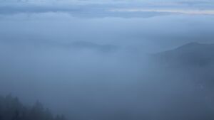 Dieses Bild zeigt eine Webcam-Aufnahme vom Achertal, aufgenommen am Sonntag, den 01.02.2026 um 08:10 Uhr. Die Temperatur betrug 2.4°C.