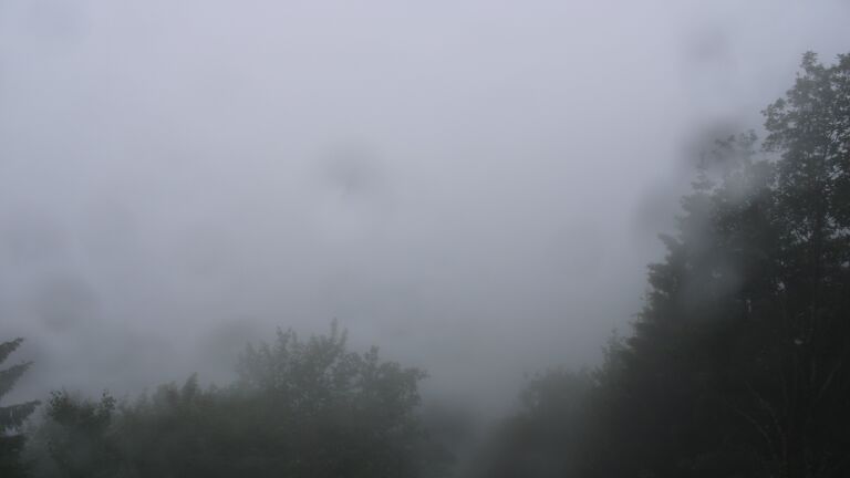 Dieses Bild zeigt eine Webcam-Aufnahme vom Achertal, aufgenommen am Freitag, den 12.06.2026 um 11:50 Uhr. Die Temperatur betrug 10.3°C.