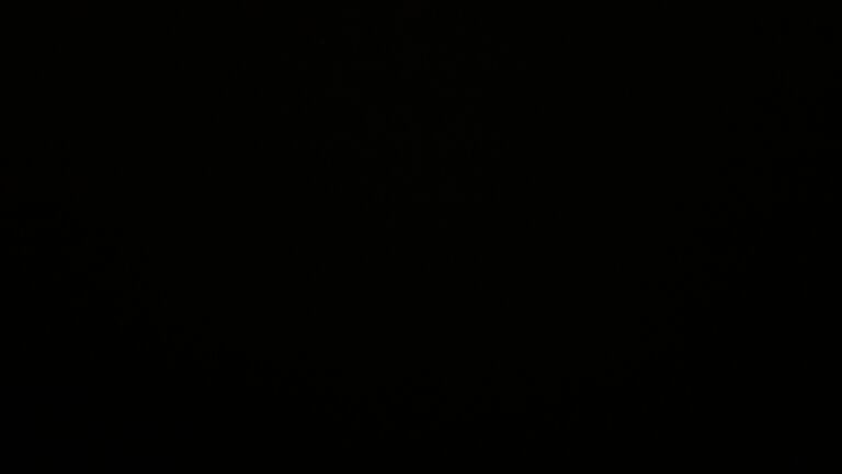 Dieses Bild zeigt eine Webcam-Aufnahme vom Achertal, aufgenommen am Montag, den 24.11.2025 um 21:00 Uhr. Die Temperatur betrug 0.3°C.