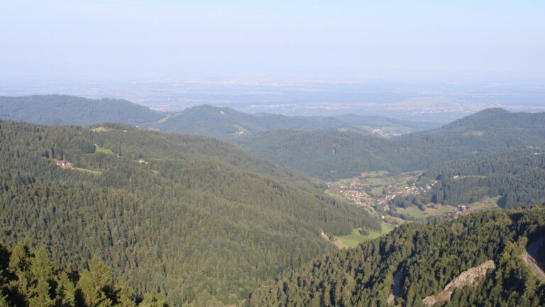 Dieses Bild zeigt eine Webcam-Aufnahme vom Achertal, aufgenommen am Dienstag, den 19.08.2025 um 08:20 Uhr. Die Temperatur betrug 19°C.