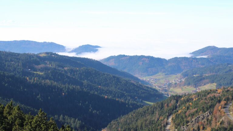 Dieses Bild zeigt eine Webcam-Aufnahme vom Achertal, aufgenommen am Samstag, den 08.11.2025 um 12:50 Uhr. Die Temperatur betrug 11.4°C.