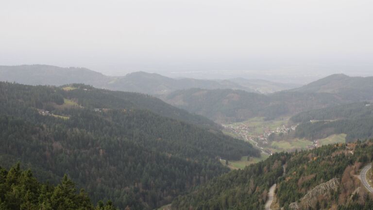 Dieses Bild zeigt eine Webcam-Aufnahme vom Achertal, aufgenommen am Freitag, den 14.11.2025 um 11:50 Uhr. Die Temperatur betrug 16.7°C.