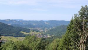Dieses Bild zeigt eine Webcam-Aufnahme vom Achertal, aufgenommen am Dienstag, den 14.07.2026 um 10:50 Uhr. Die Temperatur betrug 24.2°C.