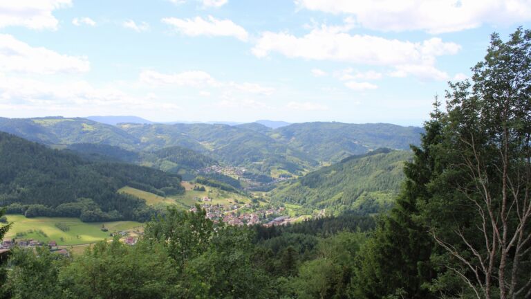 Dieses Bild zeigt eine Webcam-Aufnahme vom Achertal, aufgenommen am Samstag, den 13.06.2026 um 12:30 Uhr. Die Temperatur betrug 19.8°C.