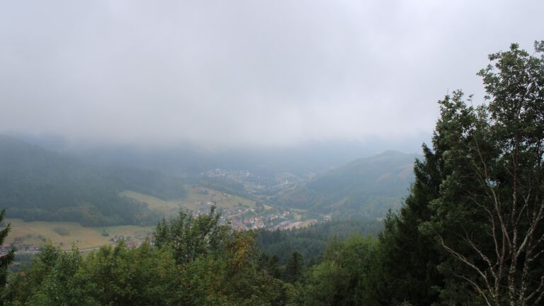 Dieses Bild zeigt eine Webcam-Aufnahme vom Achertal, aufgenommen am Samstag, den 22.08.2026 um 11:30 Uhr. Die Temperatur betrug 11.3°C.