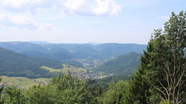 Dieses Bild zeigt eine Webcam-Aufnahme vom Achertal, aufgenommen am Donnerstag, den 16.07.2026 um 13:10 Uhr. Die Temperatur betrug 27.2°C.
