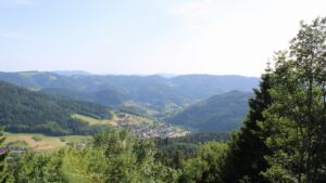 Dieses Bild zeigt eine Webcam-Aufnahme vom Achertal, aufgenommen am Samstag, den 30.05.2026 um 17:50 Uhr. Die Temperatur betrug 32.1°C.