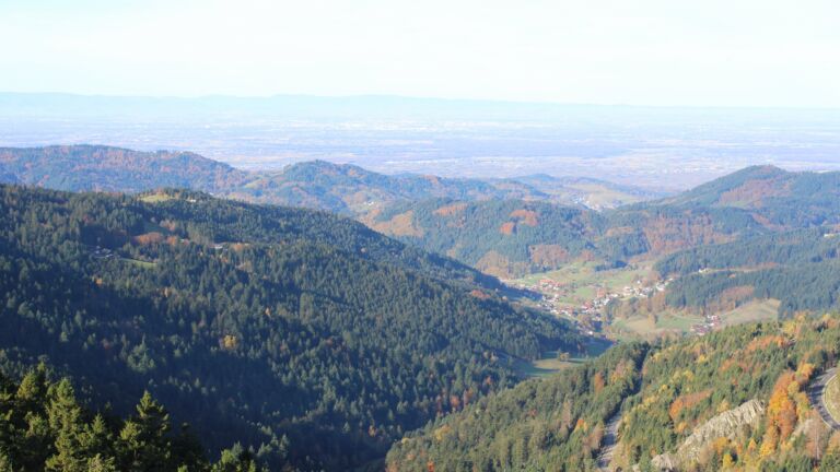 Dieses Bild zeigt eine Webcam-Aufnahme vom Achertal, aufgenommen am Mittwoch, den 29.10.2025 um 09:50 Uhr. Die Temperatur betrug 8.4°C.