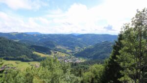 Dieses Bild zeigt eine Webcam-Aufnahme vom Achertal, aufgenommen am Mittwoch, den 10.06.2026 um 17:20 Uhr. Die Temperatur betrug 13°C.