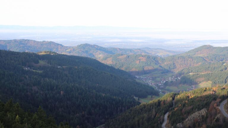 Dieses Bild zeigt eine Webcam-Aufnahme vom Achertal, aufgenommen am Mittwoch, den 12.11.2025 um 08:50 Uhr. Die Temperatur betrug 11.8°C.