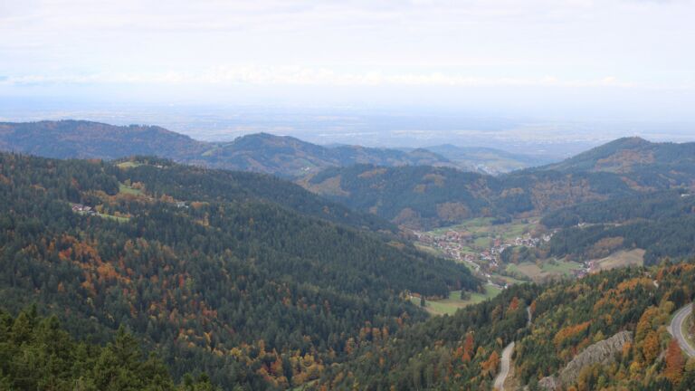 Dieses Bild zeigt eine Webcam-Aufnahme vom Achertal, aufgenommen am Freitag, den 17.10.2025 um 11:30 Uhr. Die Temperatur betrug 7.2°C.