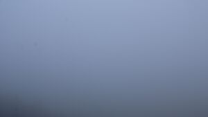 Dieses Bild zeigt eine Webcam-Aufnahme vom Achertal, aufgenommen am Sonntag, den 01.02.2026 um 09:50 Uhr. Die Temperatur betrug 2.9°C.