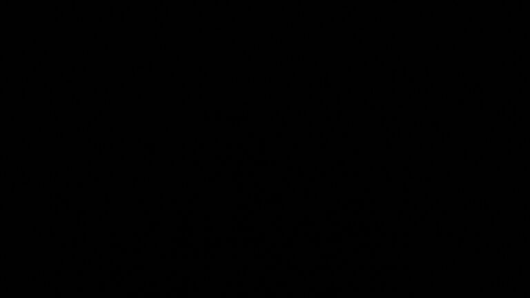 Dieses Bild zeigt eine Webcam-Aufnahme vom Achertal, aufgenommen am Donnerstag, den 08.01.2026 um 23:50 Uhr. Die Temperatur betrug 2°C.