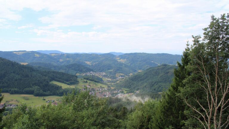Dieses Bild zeigt eine Webcam-Aufnahme vom Achertal, aufgenommen am Freitag, den 17.07.2026 um 10:50 Uhr. Die Temperatur betrug 22.1°C.