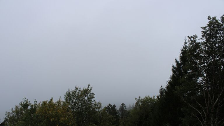 Dieses Bild zeigt eine Webcam-Aufnahme vom Achertal, aufgenommen am Sonntag, den 18.10.2026 um 15:50 Uhr. Die Temperatur betrug 7.2°C.