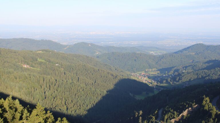Dieses Bild zeigt eine Webcam-Aufnahme vom Achertal, aufgenommen am Freitag, den 08.08.2025 um 07:30 Uhr. Die Temperatur betrug 20.9°C.