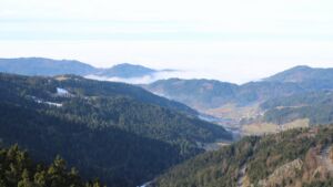 Dieses Bild zeigt eine Webcam-Aufnahme vom Achertal, aufgenommen am Donnerstag, den 22.01.2026 um 11:30 Uhr. Die Temperatur betrug 6.4°C.