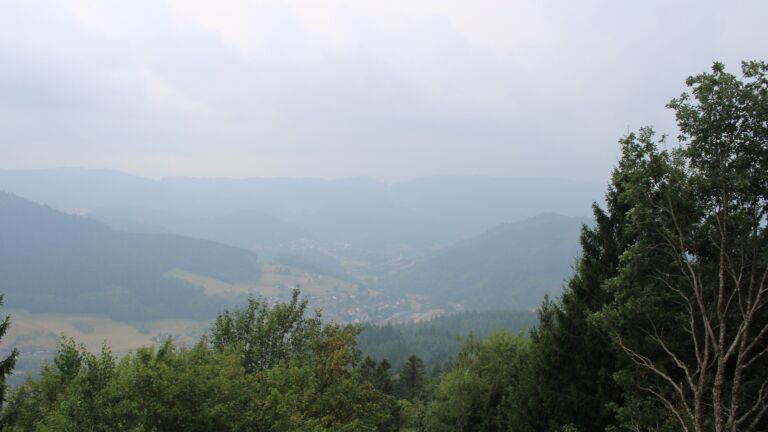 Dieses Bild zeigt eine Webcam-Aufnahme vom Achertal, aufgenommen am Montag, den 17.08.2026 um 12:40 Uhr. Die Temperatur betrug 17.9°C.