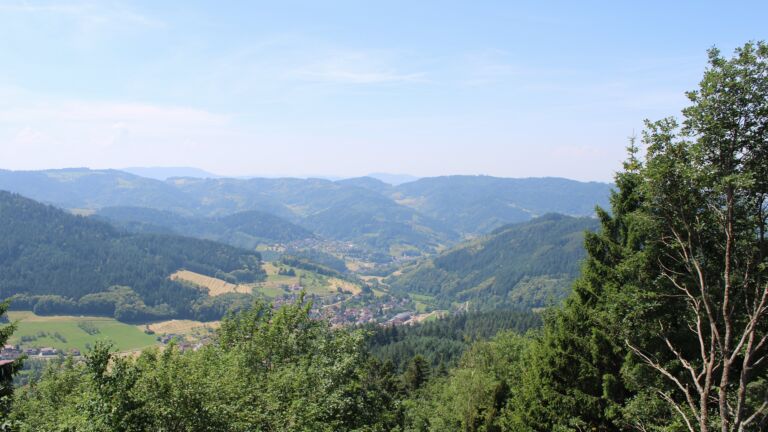 Dieses Bild zeigt eine Webcam-Aufnahme vom Achertal, aufgenommen am Dienstag, den 23.06.2026 um 12:40 Uhr. Die Temperatur betrug 30.8°C.