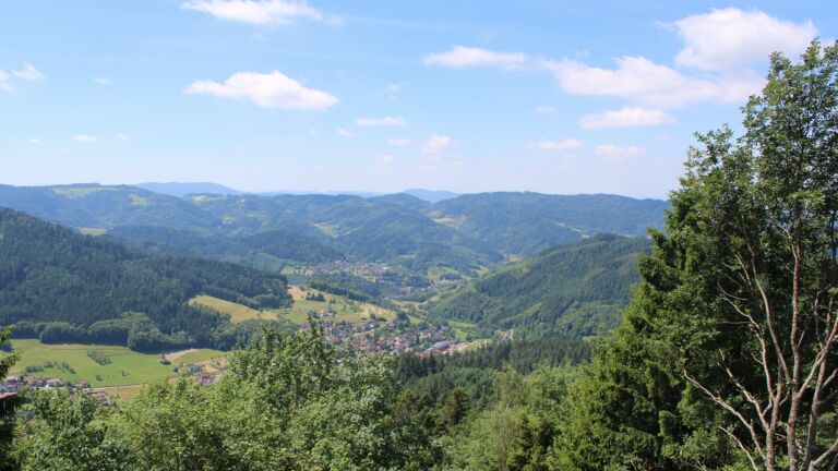 Dieses Bild zeigt eine Webcam-Aufnahme vom Achertal, aufgenommen am Montag, den 15.06.2026 um 12:20 Uhr. Die Temperatur betrug 15.5°C.