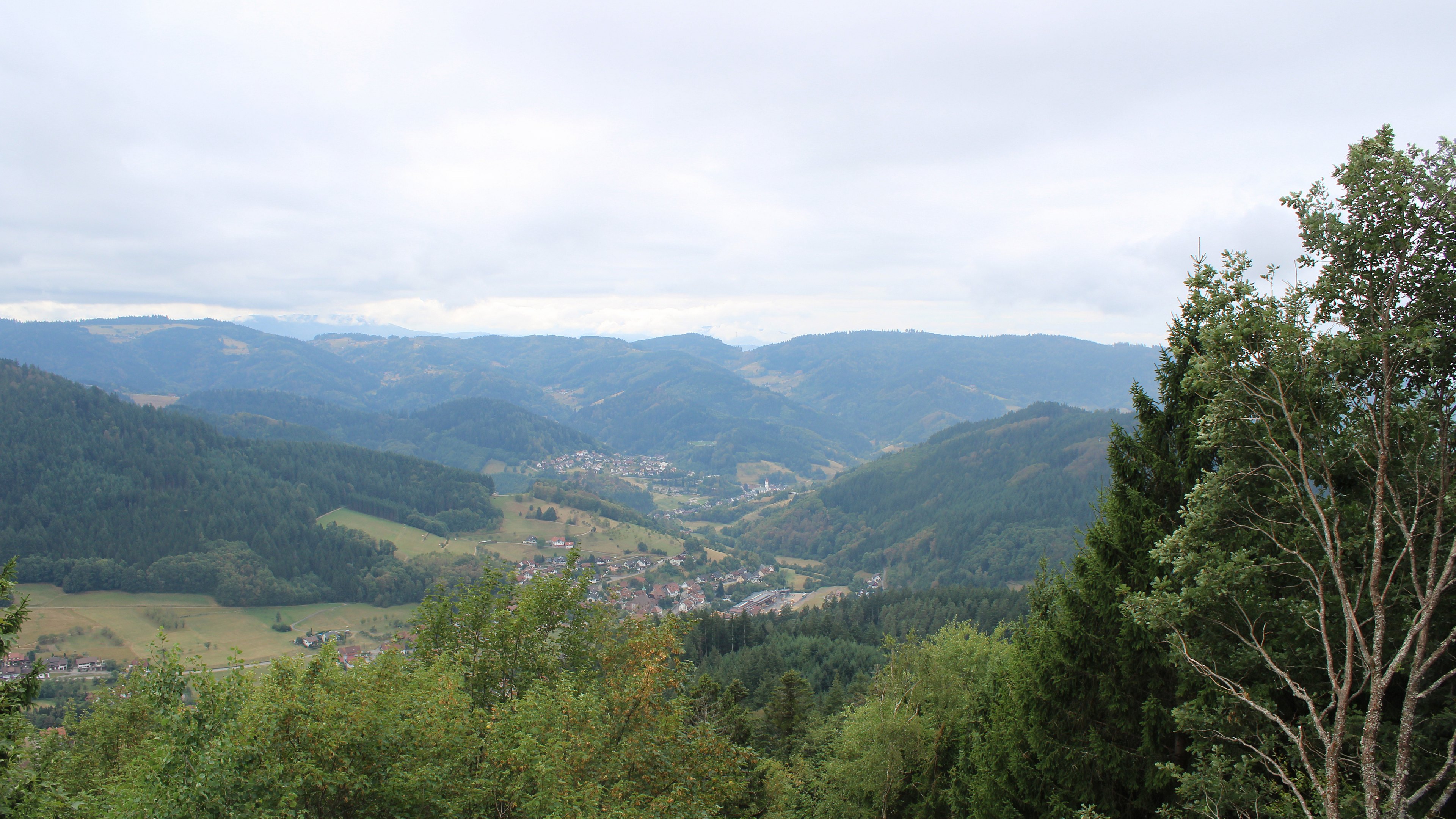 Zum Fotoarchiv vom Dienstag, 25. August 2026