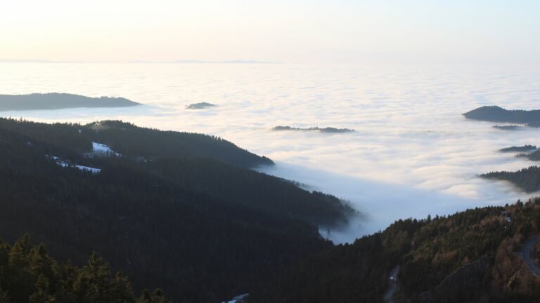 Dieses Bild zeigt eine Webcam-Aufnahme vom Achertal, aufgenommen am Montag, den 19.01.2026 um 16:30 Uhr. Die Temperatur betrug 9.1°C.